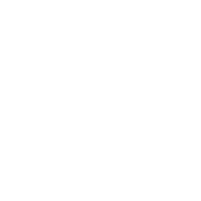 Digər
